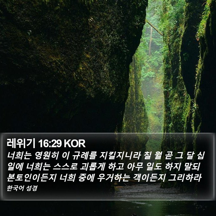 레위기 16:29 KOR Bible Study