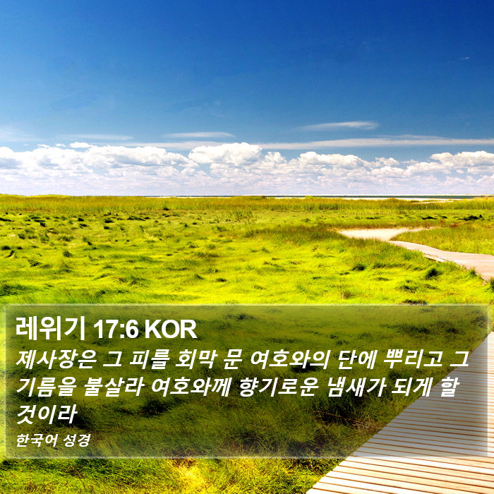 레위기 17:6 KOR Bible Study