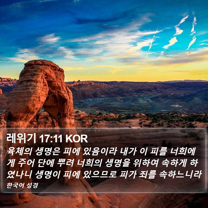 레위기 17:11 KOR Bible Study