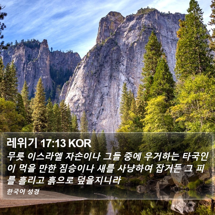 레위기 17:13 KOR Bible Study