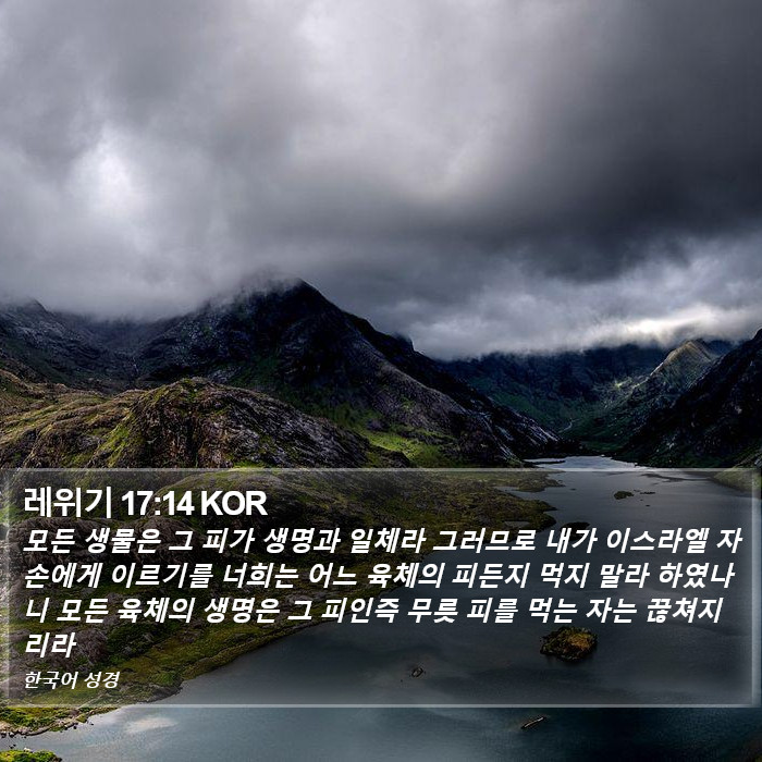 레위기 17:14 KOR Bible Study