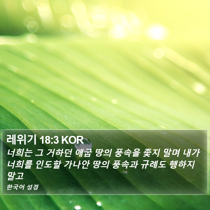 레위기 18:3 KOR Bible Study