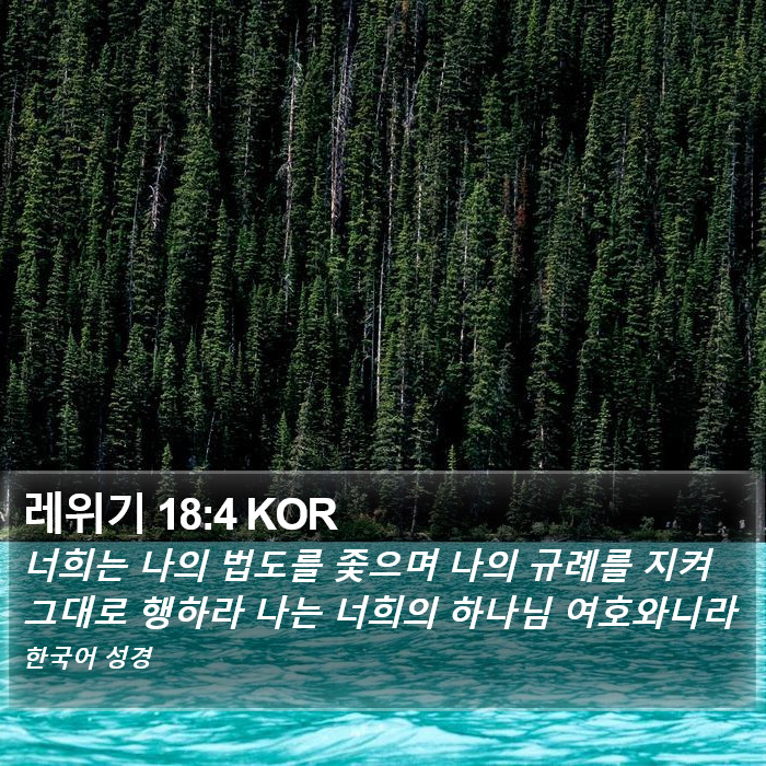 레위기 18:4 KOR Bible Study