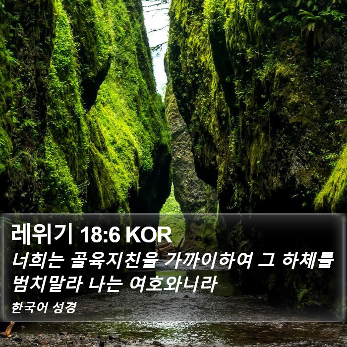 레위기 18:6 KOR Bible Study