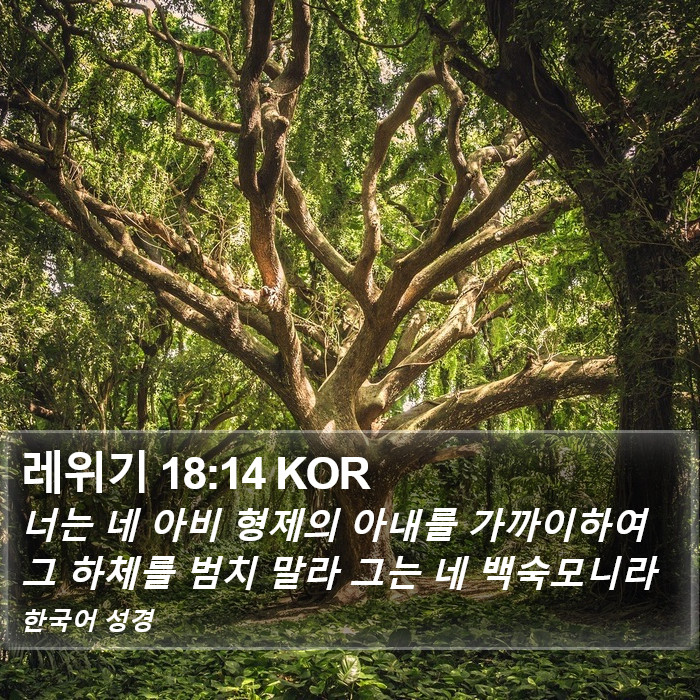 레위기 18:14 KOR Bible Study