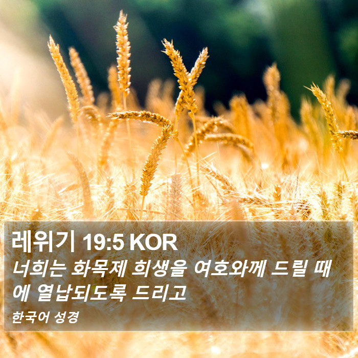 레위기 19:5 KOR Bible Study