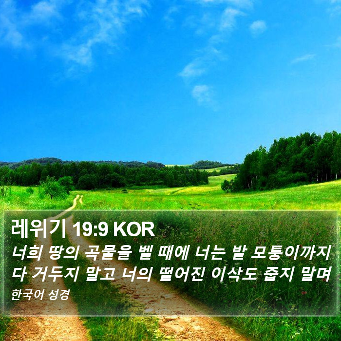 레위기 19:9 KOR Bible Study