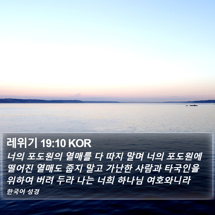 레위기 19:10 KOR Bible Study