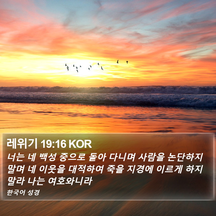 레위기 19:16 KOR Bible Study