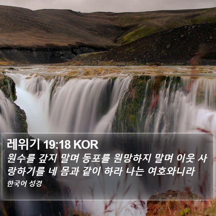 레위기 19:18 KOR Bible Study