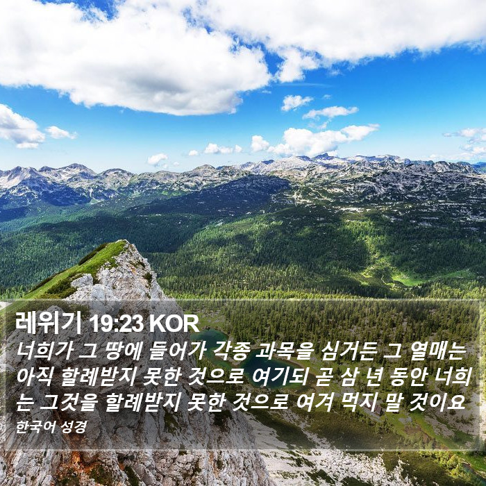 레위기 19:23 KOR Bible Study