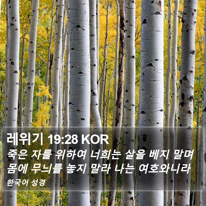 레위기 19:28 KOR Bible Study