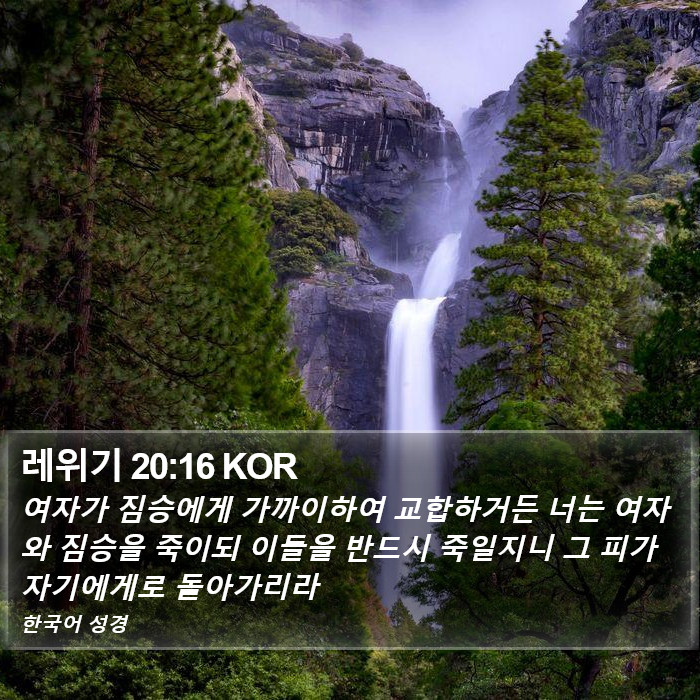 레위기 20:16 KOR Bible Study