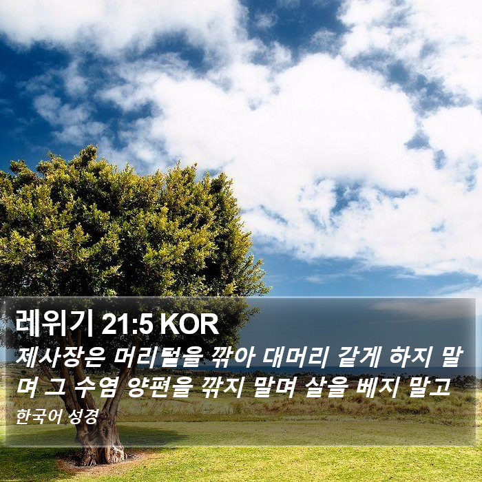 레위기 21:5 KOR Bible Study