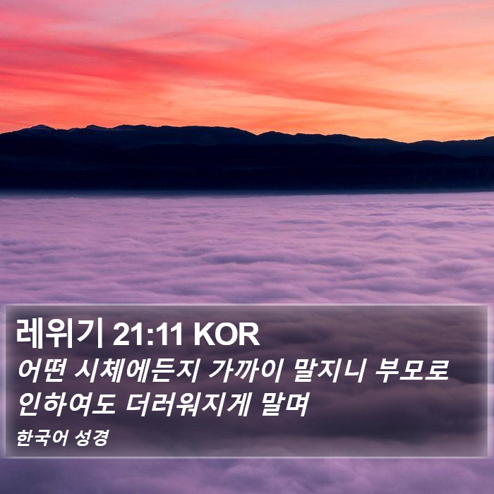 레위기 21:11 KOR Bible Study