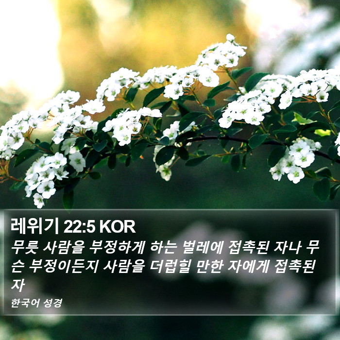 레위기 22:5 KOR Bible Study