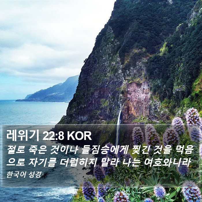 레위기 22:8 KOR Bible Study