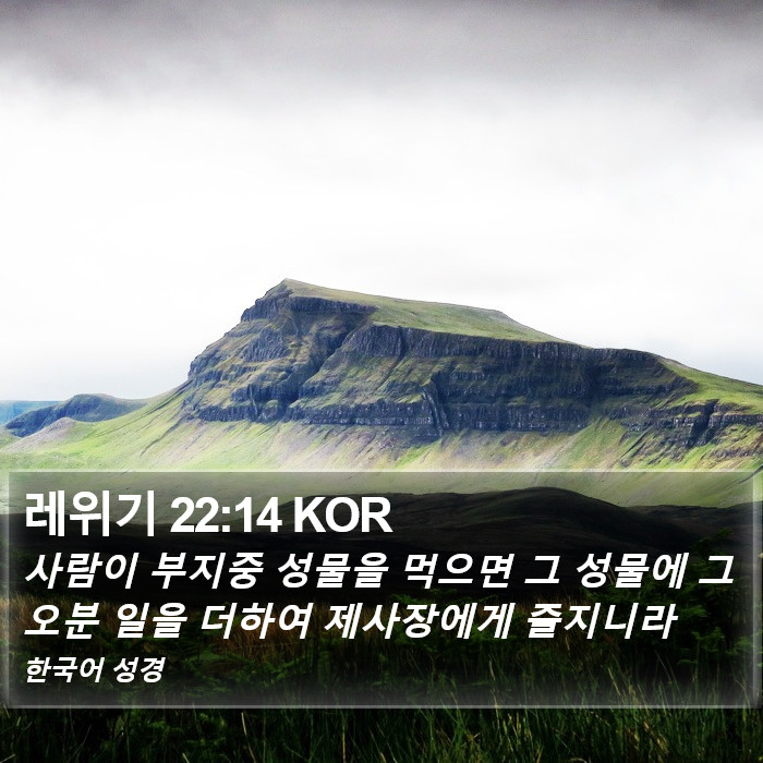 레위기 22:14 KOR Bible Study