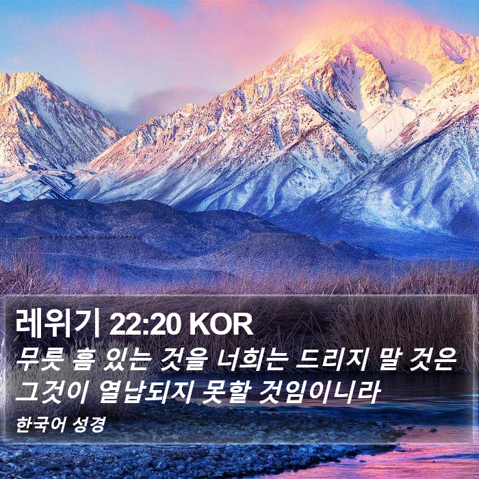 레위기 22:20 KOR Bible Study