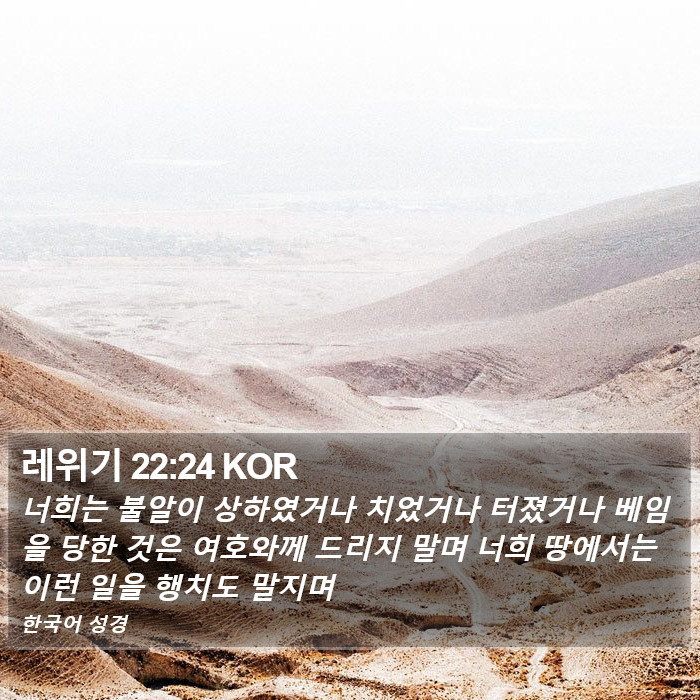 레위기 22:24 KOR Bible Study