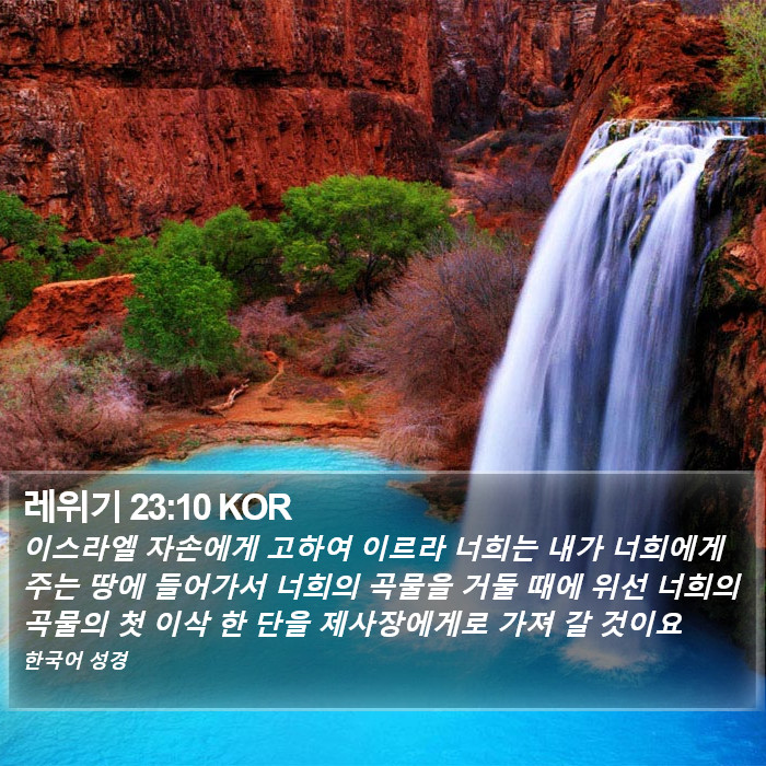 레위기 23:10 KOR Bible Study