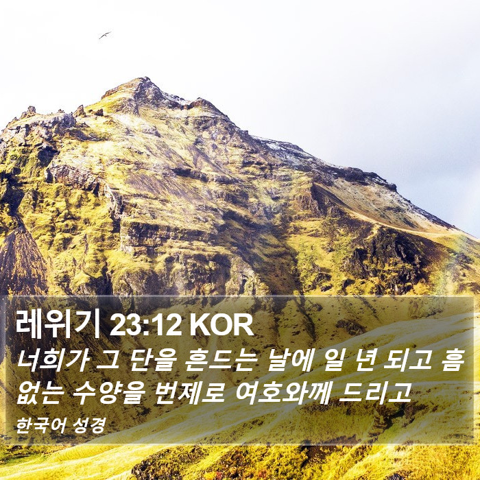 레위기 23:12 KOR Bible Study