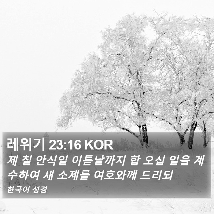 레위기 23:16 KOR Bible Study