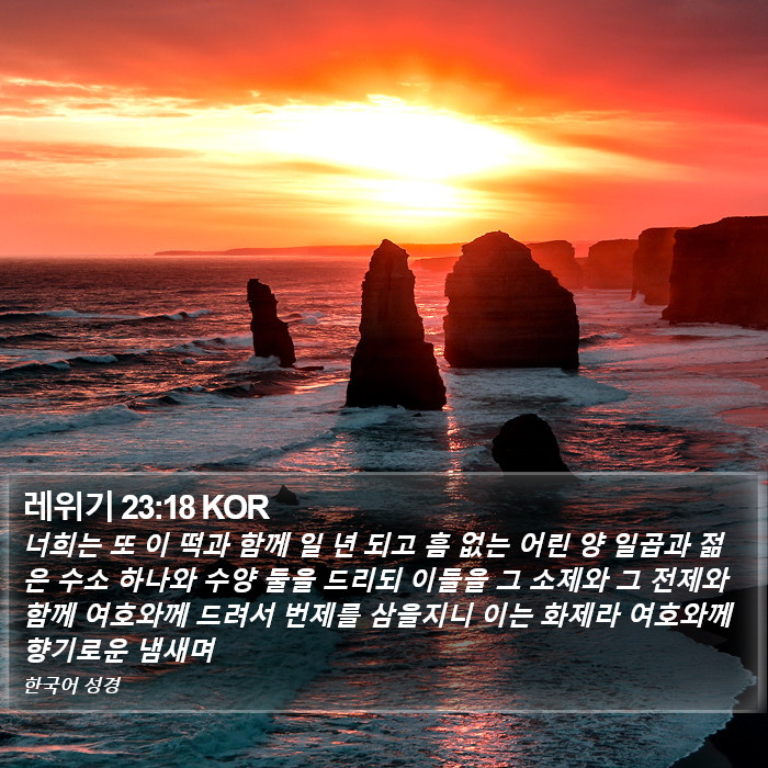 레위기 23:18 KOR Bible Study