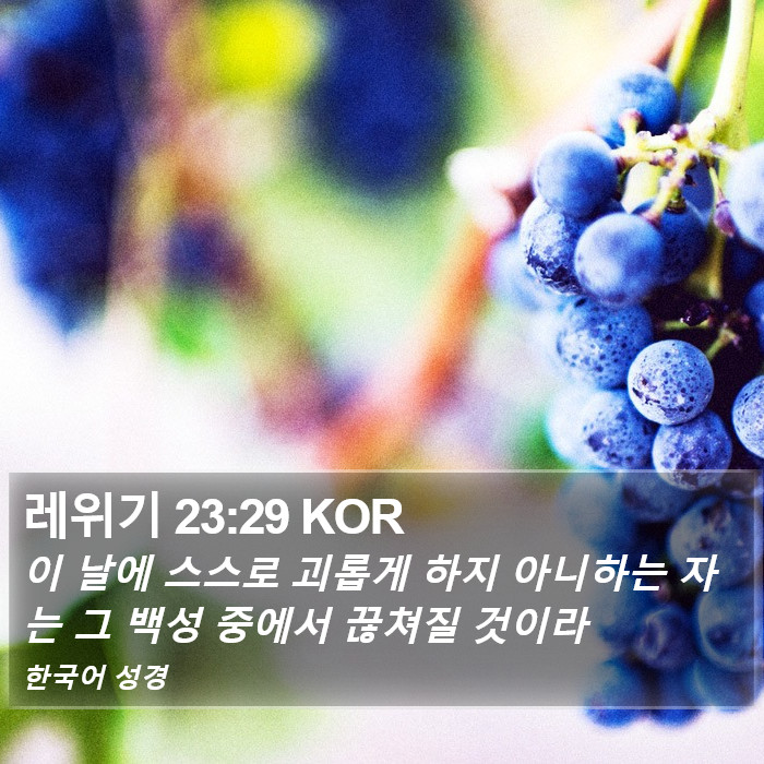 레위기 23:29 KOR Bible Study