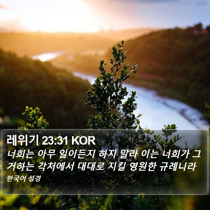 레위기 23:31 KOR Bible Study