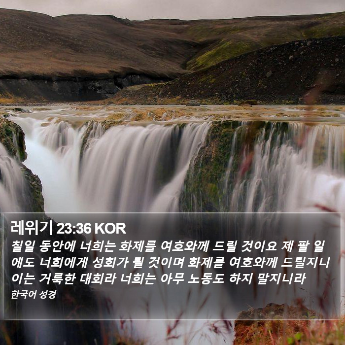 레위기 23:36 KOR Bible Study