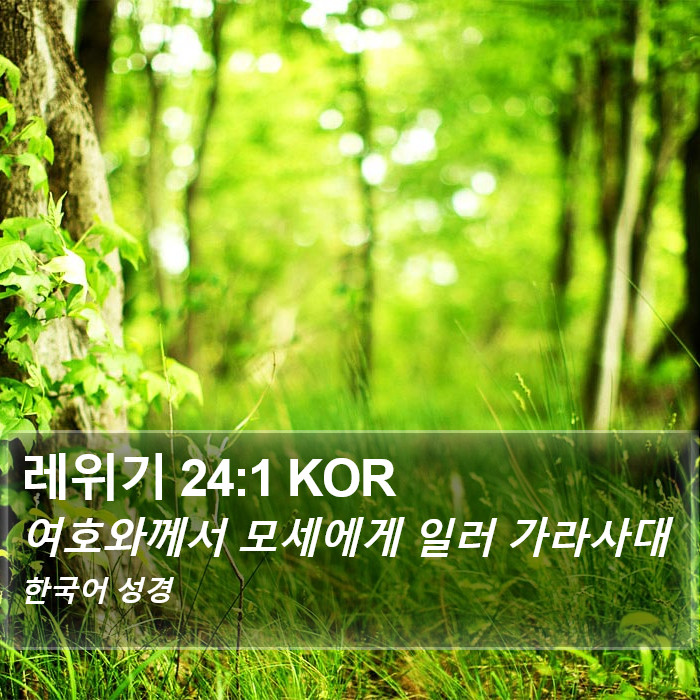 레위기 24:1 KOR Bible Study