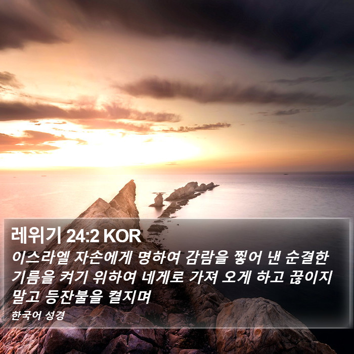 레위기 24:2 KOR Bible Study