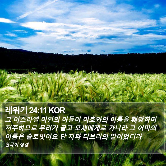 레위기 24:11 KOR Bible Study