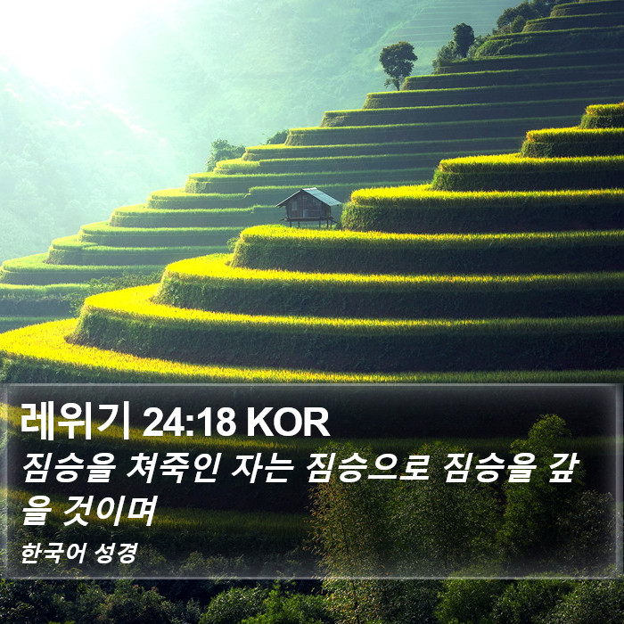 레위기 24:18 KOR Bible Study