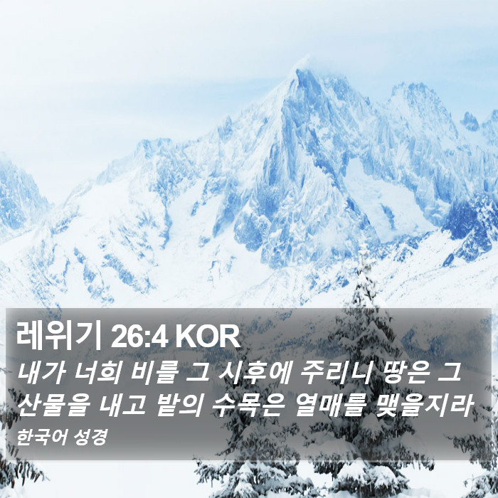 레위기 26:4 KOR Bible Study