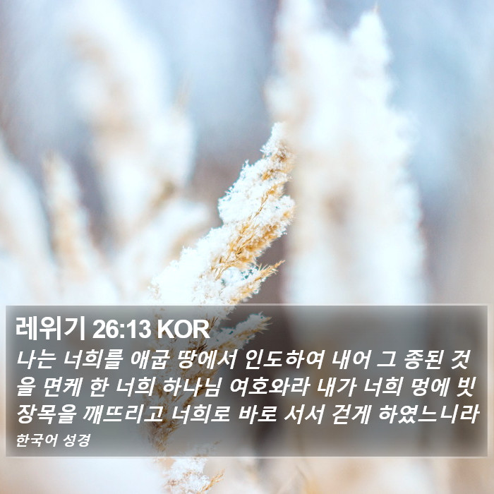 레위기 26:13 KOR Bible Study