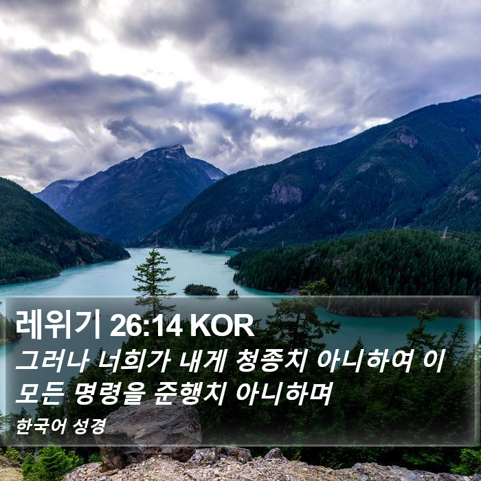 레위기 26:14 KOR Bible Study