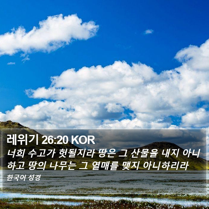 레위기 26:20 KOR Bible Study