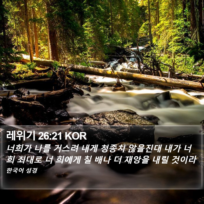 레위기 26:21 KOR Bible Study