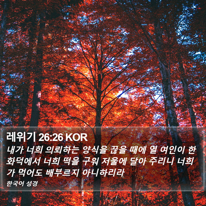 레위기 26:26 KOR Bible Study