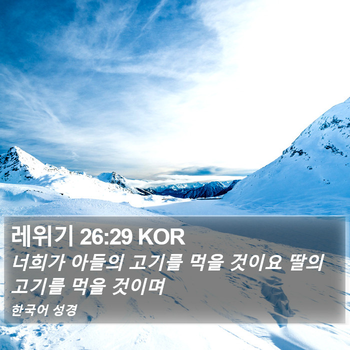 레위기 26:29 KOR Bible Study