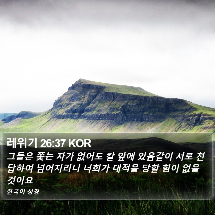 레위기 26:37 KOR Bible Study