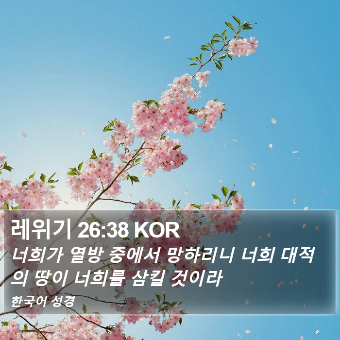 레위기 26:38 KOR Bible Study