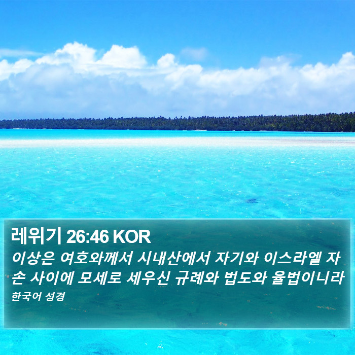 레위기 26:46 KOR Bible Study