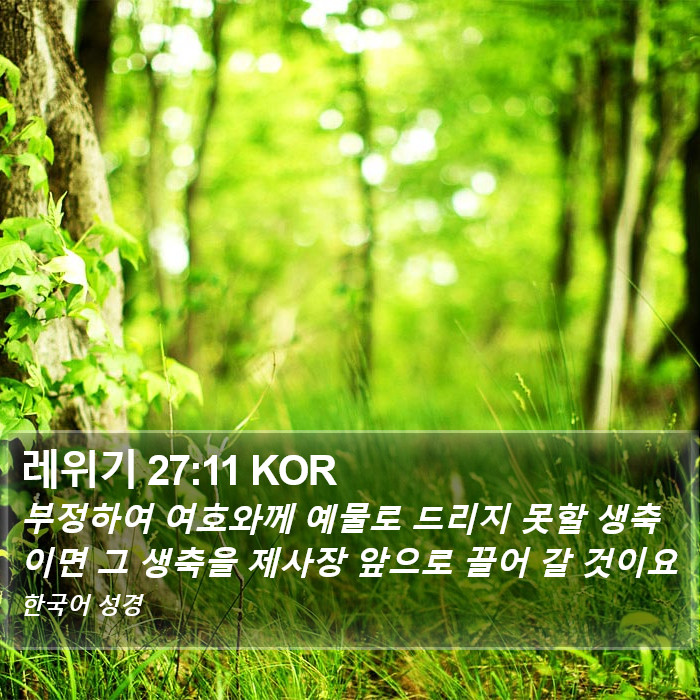 레위기 27:11 KOR Bible Study