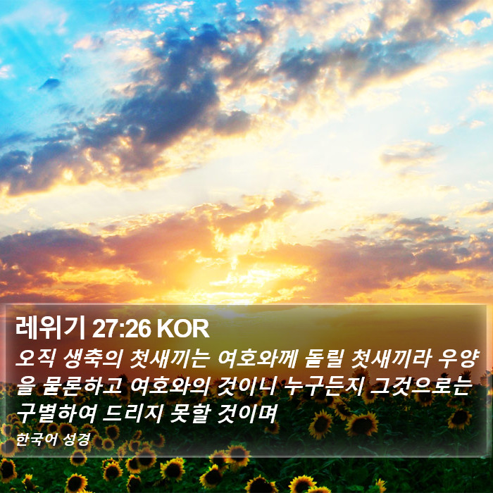 레위기 27:26 KOR Bible Study