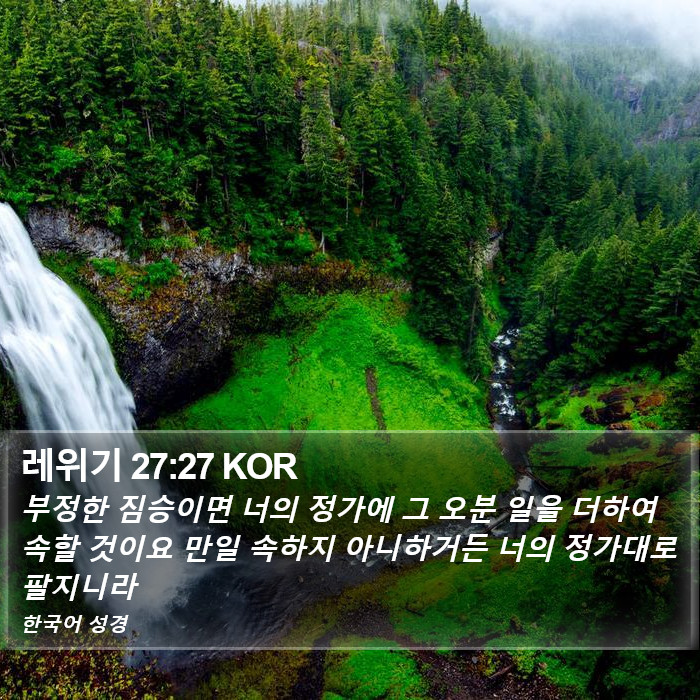 레위기 27:27 KOR Bible Study