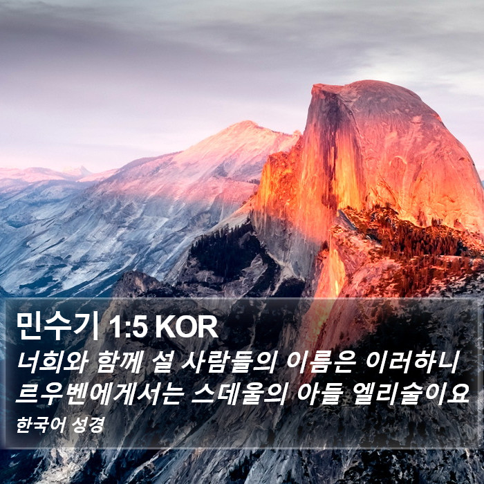 민수기 1:5 KOR Bible Study