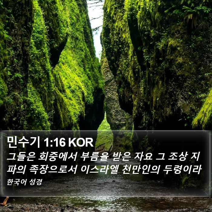 민수기 1:16 KOR Bible Study